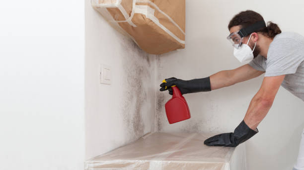 Professional Bathroom Mold Removal technician working in Cologne, NJ